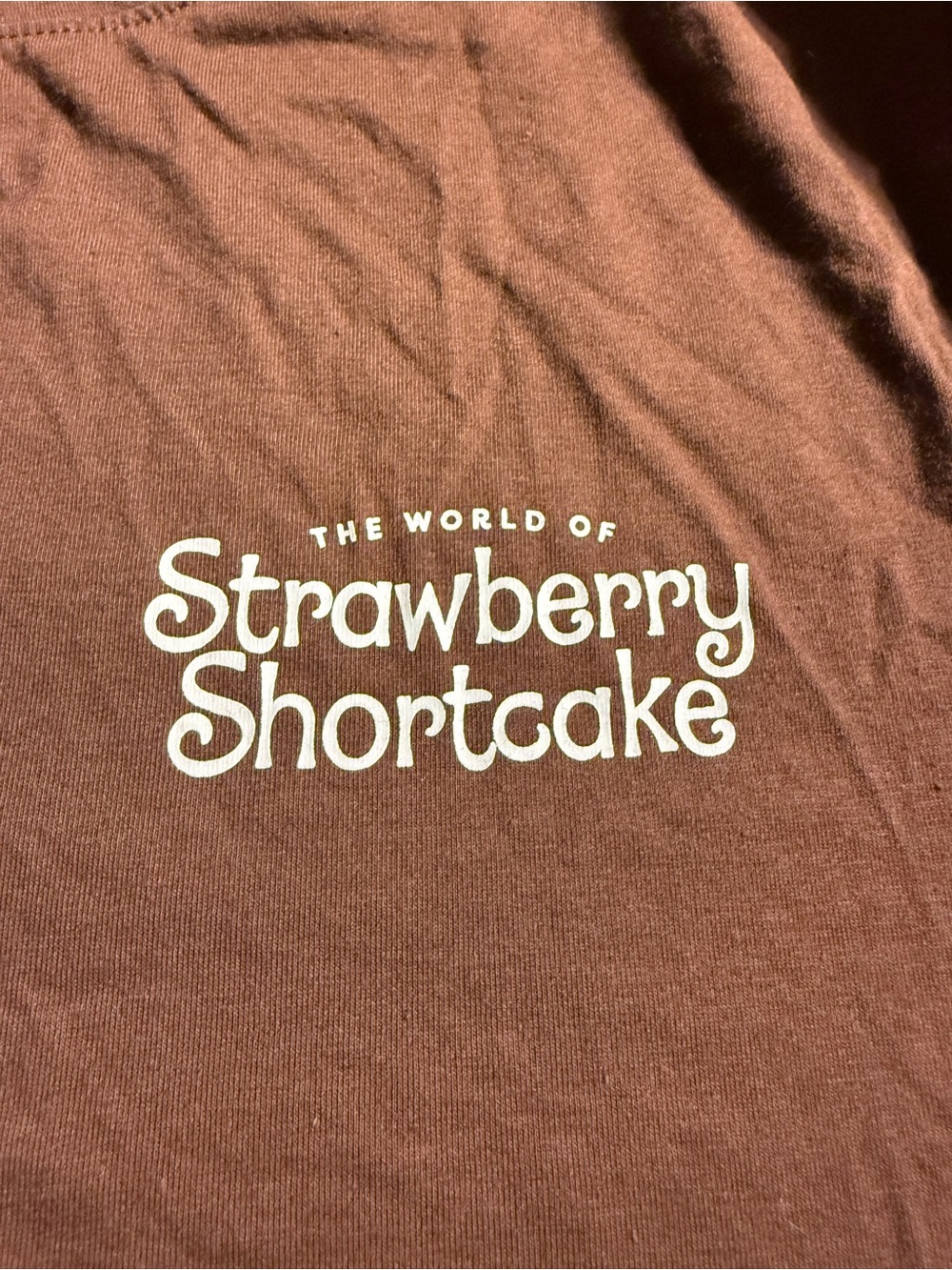 Strawberry Shortcake Chest Logo Brown Short Sleeve Tee - Picture 2 of 5